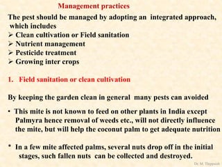 Management practices
The pest should be managed by adopting an integrated approach,
which includes
 Clean cultivation or Field sanitation
 Nutrient management
 Pesticide treatment
 Growing inter crops
1. Field sanitation or clean cultivation
By keeping the garden clean in general many pests can avoided
• This mite is not known to feed on other plants in India except
Palmyra hence removal of weeds etc., will not directly influence
the mite, but will help the coconut palm to get adequate nutrition
* In a few mite affected palms, several nuts drop off in the initial
stages, such fallen nuts can be collected and destroyed.
Dr. M. Thippaiah
 