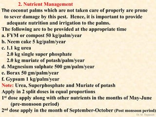2. Nutrient Management
The coconut palms which are not taken care of properly are prone
to sever damage by this pest. Hence, it is important to provide
adequate nutrition and irrigation to the palms.
The following are to be provided at the appropriate time
a. FYM or compost 50 kg/palm/year
b. Neem cake 5 kg/palm/year
c. 1.1 kg urea
2.0 kg single super phosphate
2.0 kg muriate of potash/palm/year
d. Magnesium sulphate 500 gm/palm/year
e. Borax 50 gm/palm/year
f. Gypsum 1 kg/palm/year
Note: Urea, Superphosphate and Muriate of potash
Apply in 2 split doses in equal proportions
1st dose apply along with other nutrients in the months of May-June
(pre-monsoon period)
2nd dose apply in the month of September-October (Post monsoon period)
Dr. M. Thippaiah
 