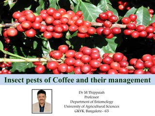 Insect pests of Coffee and their management
Dr M Thippaiah
Professor
Department of Entomology
University of Agricultural Sciences
GKVK, Bangalore- 65
 