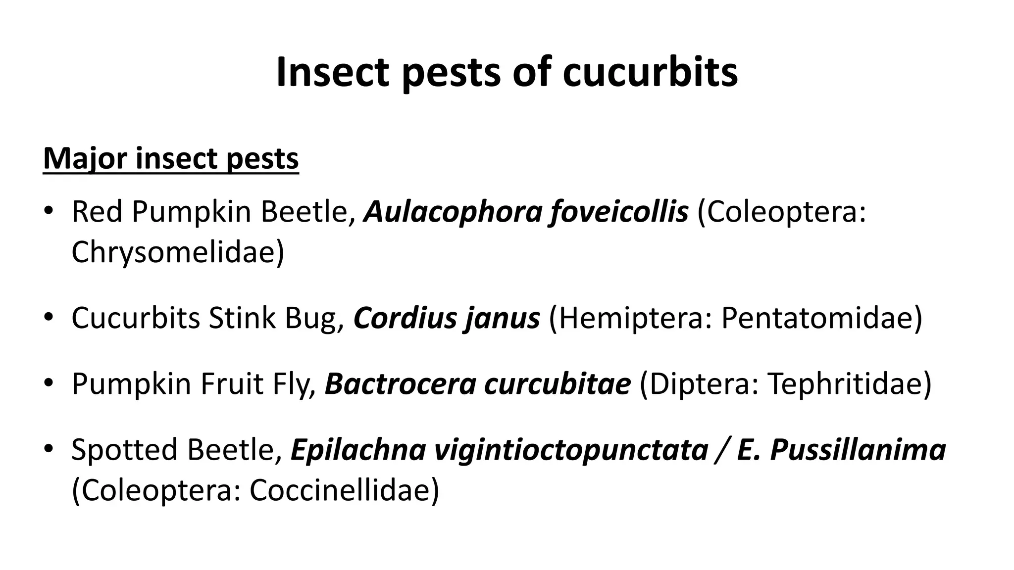 Cucurbit Insects insectpestsofcucurbits-150702174843-lva1-app6891.pdf