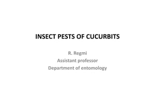 INSECT PESTS OF CUCURBITS
R. Regmi
Assistant professor
Department of entomology
 