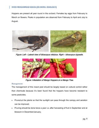 Insect Pests of Fruits | PDF