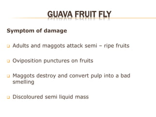 Insect Pests of Fruits which causesd serious damage to fruits | PDF