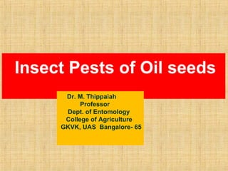 Insect Pests of Oil seeds
Dr. M. Thippaiah
Professor
Dept. of Entomology
College of Agriculture
GKVK, UAS Bangalore- 65
 