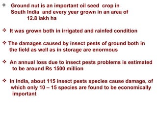  Ground nut is an important oil seed crop in
South India and every year grown in an area of
12.8 lakh ha
 It was grown both in irrigated and rainfed condition
 The damages caused by insect pests of ground both in
the field as well as in storage are enormous
 An annual loss due to insect pests problems is estimated
to be around Rs 1500 million
 In India, about 115 insect pests species cause damage, of
which only 10 – 15 species are found to be economically
important
 