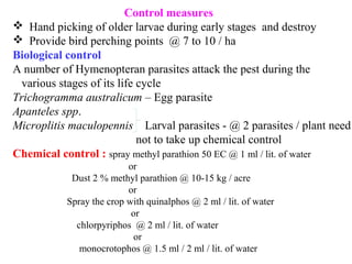 Control measures
 Hand picking of older larvae during early stages and destroy
 Provide bird perching points @ 7 to 10 / ha
Biological control
A number of Hymenopteran parasites attack the pest during the
various stages of its life cycle
Trichogramma australicum – Egg parasite
Apanteles spp.
Microplitis maculopennis Larval parasites - @ 2 parasites / plant need
not to take up chemical control
Chemical control : spray methyl parathion 50 EC @ 1 ml / lit. of water
or
Dust 2 % methyl parathion @ 10-15 kg / acre
or
Spray the crop with quinalphos @ 2 ml / lit. of water
or
chlorpyriphos @ 2 ml / lit. of water
or
monocrotophos @ 1.5 ml / 2 ml / lit. of water
 