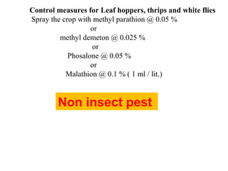 Non insect pest
Control measures for Leaf hoppers, thrips and white flies
Spray the crop with methyl parathion @ 0.05 %
or
methyl demeton @ 0.025 %
or
Phosalone @ 0.05 %
or
Malathion @ 0.1 % ( 1 ml / lit.)
 