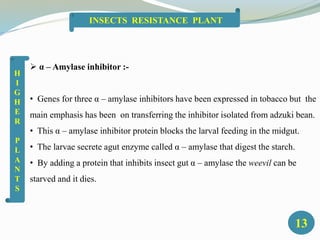  α – Amylase inhibitor :-
• Genes for three α – amylase inhibitors have been expressed in tobacco but the
main emphasis has been on transferring the inhibitor isolated from adzuki bean.
• This α – amylase inhibitor protein blocks the larval feeding in the midgut.
• The larvae secrete agut enzyme called α – amylase that digest the starch.
• By adding a protein that inhibits insect gut α – amylase the weevil can be
starved and it dies.
13
INSECTS RESISTANCE PLANT
H
I
G
H
E
R
P
L
A
N
T
S
 