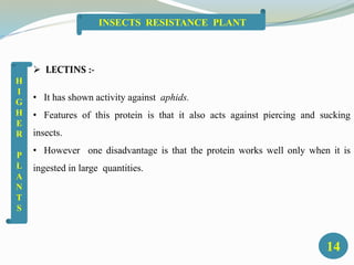  LECTINS :-
• It has shown activity against aphids.
• Features of this protein is that it also acts against piercing and sucking
insects.
• However one disadvantage is that the protein works well only when it is
ingested in large quantities.
14
INSECTS RESISTANCE PLANT
H
I
G
H
E
R
P
L
A
N
T
S
 