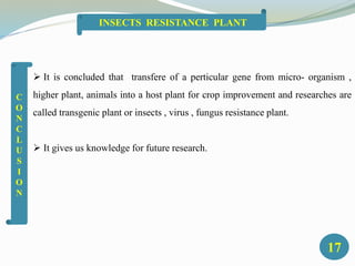  It is concluded that transfere of a perticular gene from micro- organism ,
higher plant, animals into a host plant for crop improvement and researches are
called transgenic plant or insects , virus , fungus resistance plant.
 It gives us knowledge for future research.
17
INSECTS RESISTANCE PLANT
C
O
N
C
L
U
S
I
O
N
 