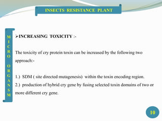 INCREASING TOXICITY :-
The toxicity of cry protein toxin can be increased by the following two
approach:-
1.) SDM ( site directed mutagenesis) within the toxin encoding region.
2.) production of hybrid cry gene by fusing selected toxin domains of two or
more different cry gene.
10
INSECTS RESISTANCE PLANT
M
I
C
R
O
O
R
G
A
N
S
M
 