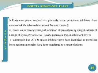 Resistance genes involved are primarily serine proteinase inhibitors from
mammals & the tobacco horn worm( Manduca sexta ).
 Based on in vitro screening of inhibition of proteolysis by midgut extracts of
a range of lepidopteran larvae Bovine pancreatic trypsin inhibitor ( BPTI)
α -antitrypsin ( α1 AT) & spleen inhibitor have been identified as promising
insect resistance proteins have been transferred to a range of plants.
15
INSECTS RESISTANCE PLANT
A
N
I
M
A
L
S
 