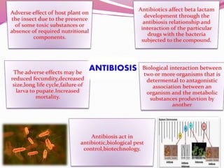 ANTIBIOSIS
 