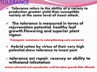 TOLERANCE
 Tolerance refers to the ability of a variety to
production greater yield than susceptible
variety at the same level of insect attack.
 The tolerance is measured in terms of
rejuvenation potential .healthy leaf
growth.Flowering and superior plant
vigour.
 Hybrid cotton by virtue of their very high
potential.show tolerance to insect pest.
 tolerance act repair, recovey or ability to
withstand infestation
Transgenic resistance to caterpillars(eg.corn earworm)
Insects attracted and reproduction well but plant growth little effected
 