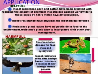 APPLICATION
HARMFULL
Insect resistance
damage the food
chain and
eycosystem
HELPFULL
Insect resistance corn and cotton have been credited with
reducing the amount of chemical insecticides applied worldwide to
those crops by 136.6 millon kg,a 29.9reduction.
Insect resistance have physical and biochemical defence .
Resistance plant leaves have no pesticide in food or the
environment.resistance plant easy to intergrated with other pest
management.
Insect resistance
some time change
human resistance
beacause it may
damage human
genome
 