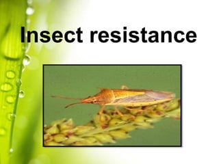 Insect resistance
 