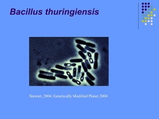 Stewart, 2004. Genetically Modified Planet 2004
Bacillus thuringiensis
 