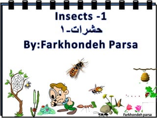 Insects - 1