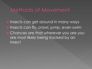Methods of MovementInsects can get around in many waysInsects can fly, crawl, jump, even swimChances are that wherever you are you are most likely being tracked by an insect