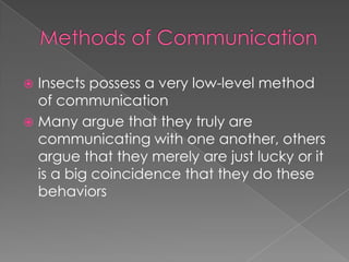 Methods of CommunicationInsects possess a very low-level method of communicationMany argue that they truly are communicating with one another, others argue that they merely are just lucky or it is a big coincidence that they do these behaviors