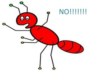 Are all insects arthropods?