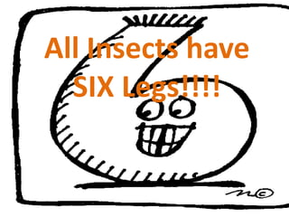 Some insects have their thorax and abdomen covered by wings. This makes it difficult to see the body parts.