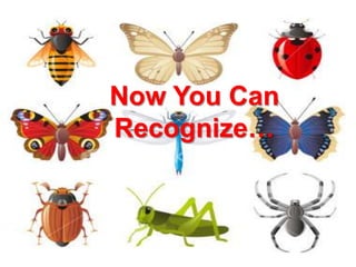 Bet You Didn’t Know….