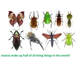 Bet You Didn’t Know….