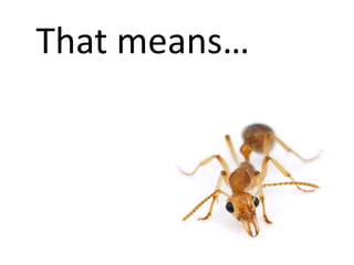 Insects make up half of all living things in the world!