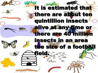 There are more than a million known species of insects, and there are many more waiting to be discovered!