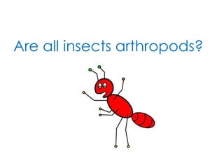 It is estimated that there are about ten quintillion insects alive at any time or there are 40 million insects in an area the size of a football field.