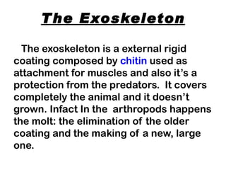 T he Exoskeleton

  The exoskeleton is a external rigid
coating composed by chitin used as
attachment for muscles and also it’s a
protection from the predators. It covers
completely the animal and it doesn’t
grown. Infact In the  arthropods happens
the molt: the elimination of the older
coating and the making of a new, large
one.
 