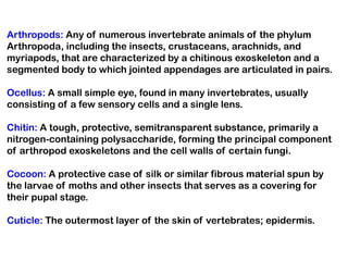 Arthropods: Any of numerous invertebrate animals of the phylum
Arthropoda, including the insects, crustaceans, arachnids, and
myriapods, that are characterized by a chitinous exoskeleton and a
segmented body to which jointed appendages are articulated in pairs.

Ocellus: A small simple eye, found in many invertebrates, usually
consisting of a few sensory cells and a single lens.

Chitin: A tough, protective, semitransparent substance, primarily a
nitrogen-containing polysaccharide, forming the principal component
of arthropod exoskeletons and the cell walls of certain fungi.

Cocoon: A protective case of silk or similar fibrous material spun by
the larvae of moths and other insects that serves as a covering for
their pupal stage.

Cuticle: The outermost layer of the skin of vertebrates; epidermis.
 