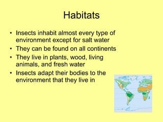 Habitats Insects inhabit almost every type of environment except for salt water They can be found on all continents They live in plants, wood, living animals, and fresh water Insects adapt their bodies to the environment that they live in 
