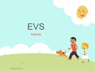 EVS
Insects
theeducationdesk.com
 