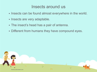 Environmental Science (EVS): Insects (Class II)