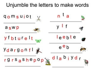 Unjumble the letters to make words 
t 
p 
y 
y 
t 
y l f 
e 
r d 
e 
q o m s u i o 
a sw 
f b t u r e l t 
d a r g o n f l 
g r s a s h e p o p 
n a 
l e b t e 
e b 
l a b i y d r 
________________________ 
________________________ 
___________________________ 
________________________ 
________________________ 
________________________ 
________________________ 
________________________ 
________________________ 
________________________ 
 