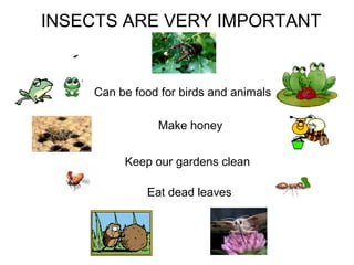 INSECTS ARE VERY IMPORTANT 
Can be food for birds and animals 
Make honey 
Keep our gardens clean 
Eat dead leaves 
 