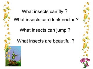 What insects can fly ? 
What insects can drink nectar ? 
What insects can jump ? 
What insects are beautiful ? 
 