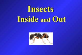 InsectsInsects
InsideInside andand OutOut
 