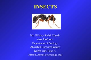 INSECTS
Mr. Nirbhay Sudhir Pimple
Asst. Professor
Department of Zoology
Abasaheb Garware College
Karve road, Pune-4.
(nirbhay.pimpale@mesagc.org)
 