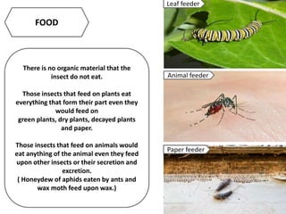 FOOD
There is no organic material that the
insect do not eat.
Those insects that feed on plants eat
everything that form their part even they
would feed on
green plants, dry plants, decayed plants
and paper.
Those insects that feed on animals would
eat anything of the animal even they feed
upon other insects or their secretion and
excretion.
( Honeydew of aphids eaten by ants and
wax moth feed upon wax.)
Leaf feeder
Animal feeder
Paper feeder
 