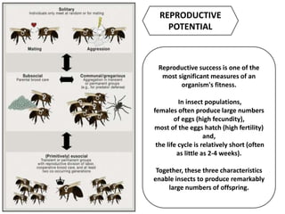 Reproductive success is one of the
most significant measures of an
organism's fitness.
In insect populations,
females often produce large numbers
of eggs (high fecundity),
most of the eggs hatch (high fertility)
and,
the life cycle is relatively short (often
as little as 2-4 weeks).
Together, these three characteristics
enable insects to produce remarkably
large numbers of offspring.
REPRODUCTIVE
POTENTIAL
 