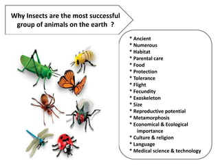 Why Insects are the most successful
group of animals on the earth ?
* Ancient
* Numerous
* Habitat
* Parental care
* Food
* Protection
* Tolerance
* Flight
* Fecundity
* Exoskeleton
* Size
* Reproductive potential
* Metamorphosis
* Economical & Ecological
importance
* Culture & religion
* Language
* Medical science & technology
 
