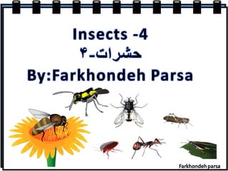 Insects  4