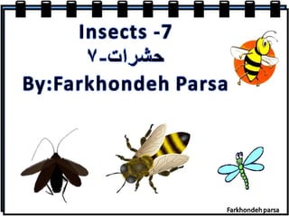 Insects  7