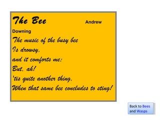The Bee  Andrew Downing   The music of the busy bee  Is drowsy,  and it comforts me;  But, ah!  'tis quite another thing,  When that same bee concludes to sting! Back to  Bees  and  Wasps 