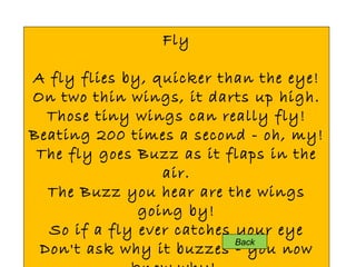 Fly A fly flies by, quicker than the eye! On two thin wings, it darts up high. Those tiny wings can really fly! Beating 200 times a second - oh, my! The fly goes Buzz as it flaps in the air. The Buzz you hear are the wings going by! So if a fly ever catches your eye Don't ask why it buzzes - you now know why!  Back 
