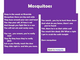 Mosquitoes Deep in the woods at Riverside Mosquitoes there are big and wide They buzz around your ears and head You slap your self, til face is red And though you fight like in a war You will not win and rarely score. You run , you scream, you’re really mad They fly they buzz they’re really glad. Just as you finally reach the door They slide right in  and bite you more. You search , you try to hunt them down And what do you know, there’s one you’ve found Yeh, there he is on that white wall  You smash him dead, Oh! What a sight   I get to scrub the walls tonight Darn mosquitoes Back to  mosquito 