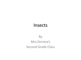 Insects

        By
   Mrs.Ferrera’s
Second Grade Class
 